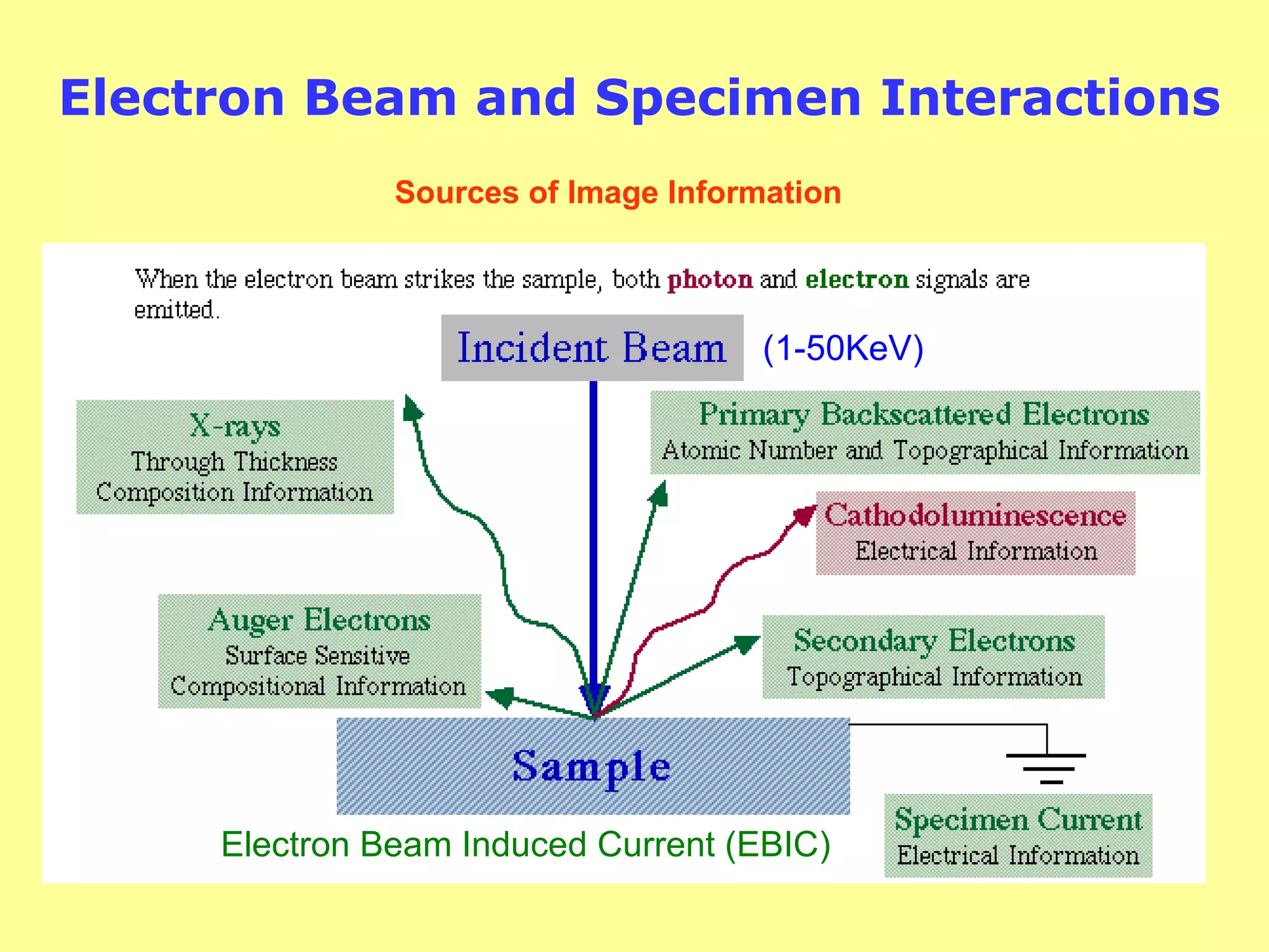 Electron Beam and Specimen Interactions
Electron/Specimen InteractionsSources of Image Information
(1-50KeV)
Electron Beam Induced Current (EBIC)
 