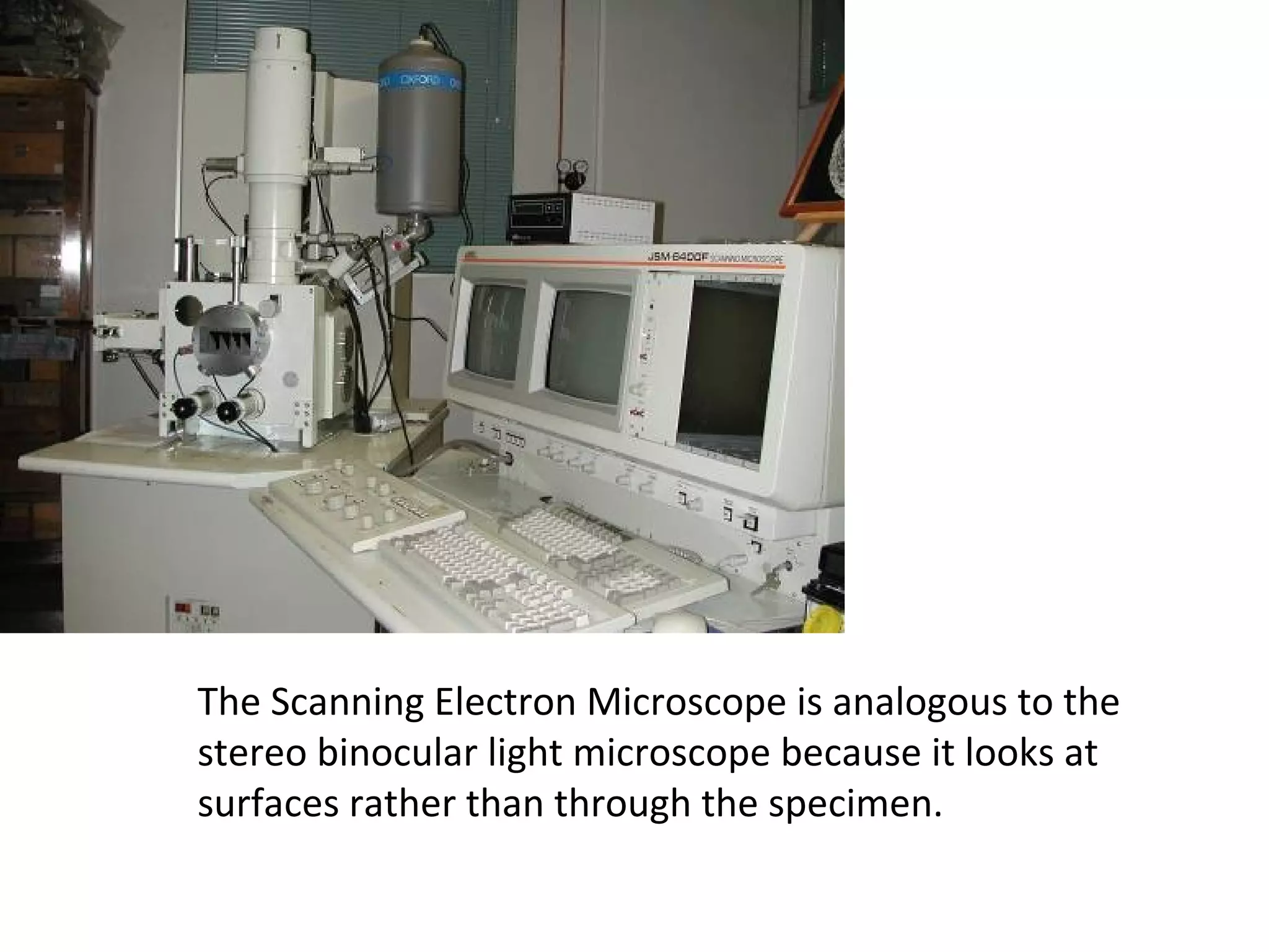 The Scanning Electron Microscope is analogous to the
stereo binocular light microscope because it looks at
surfaces rather than through the specimen.
 