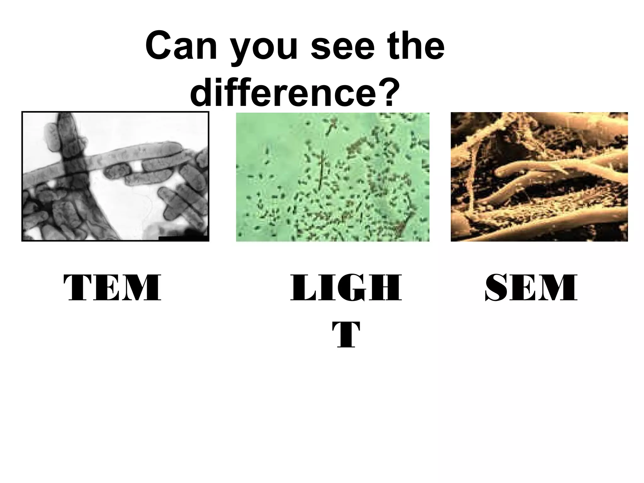 Can you see the
difference?
TEM SEMLIGH
T
 