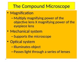 Multiplying Lens Comprehensive Overview of Transmission Electron Microscopy: Principles ...