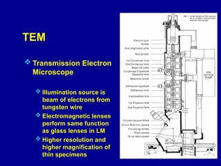 Comprehensive Overview of Transmission Electron Microscopy: Principles ...