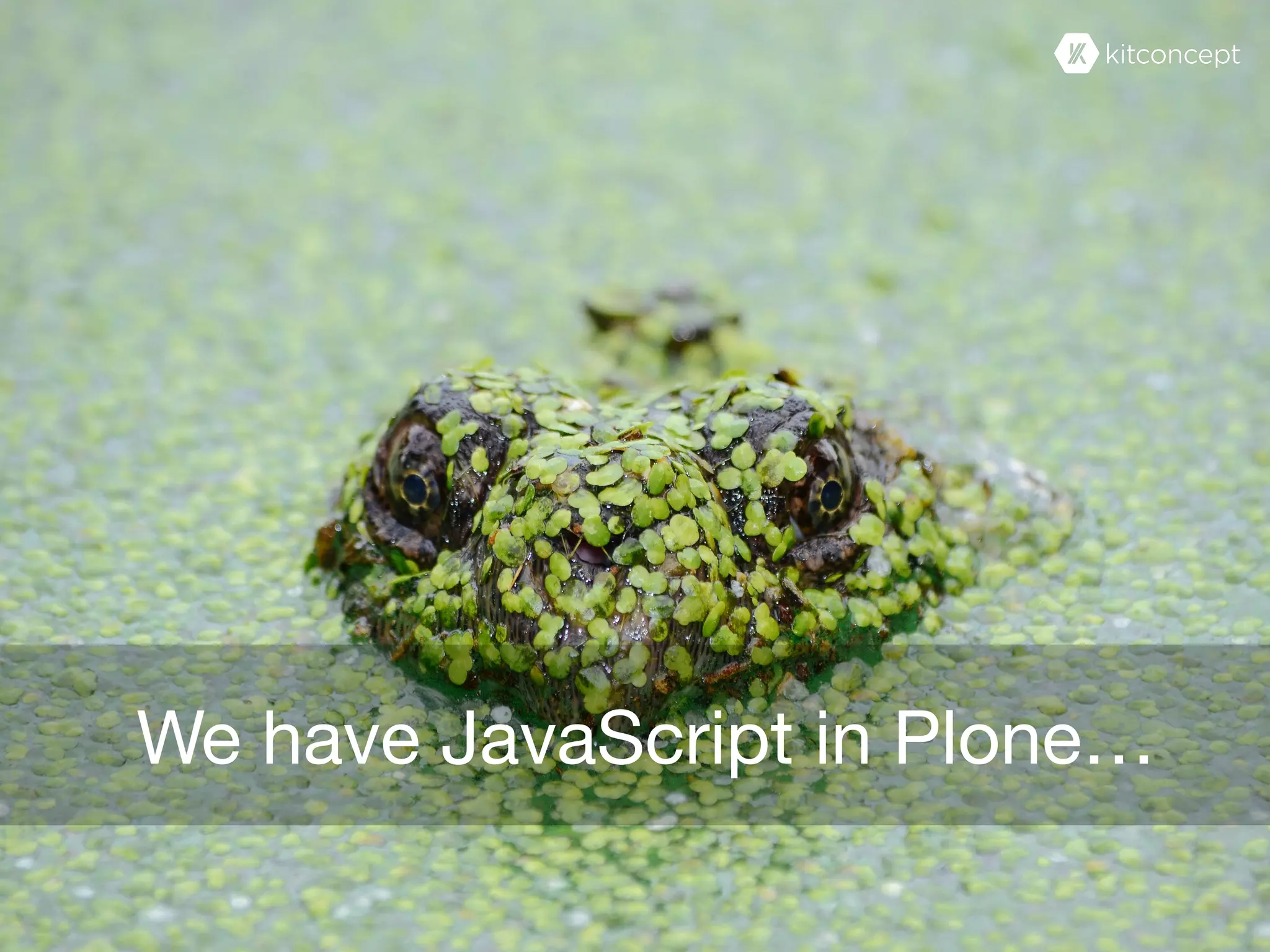We have JavaScript in Plone…