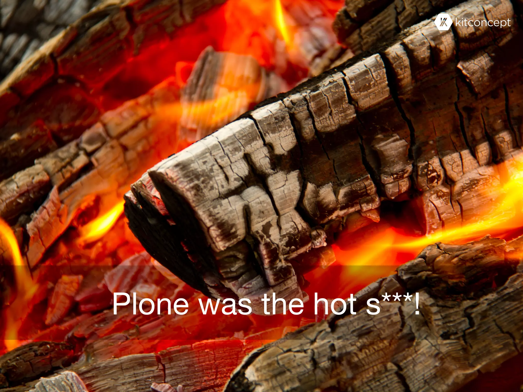 Plone was the hot s***!