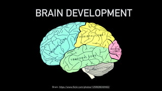 BRAIN DEVELOPMENT
Brain: https://www.flickr.com/photos/125992663@N02/
 
