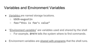 Variables and Environment Variables
● Variables are named storage locations.
○ USER=augustin
○ foo=“this is foo’s value”
● “Environment variables” are variables used and shared by the shell
○ For example, $PATH tells the system where to find commands.
● Environment variables are shared with programs that the shell runs.
 