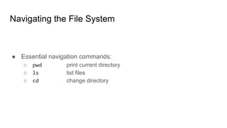 Navigating the File System
● Essential navigation commands:
○ pwd print current directory
○ ls list files
○ cd change directory
 