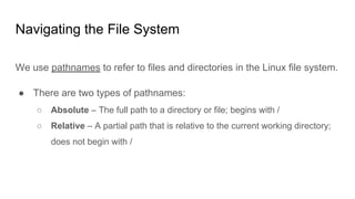 Navigating the File System
We use pathnames to refer to files and directories in the Linux file system.
● There are two types of pathnames:
○ Absolute – The full path to a directory or file; begins with /
○ Relative – A partial path that is relative to the current working directory;
does not begin with /
 