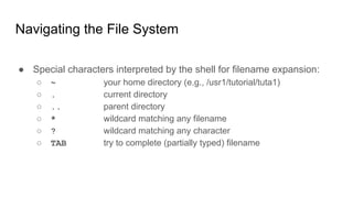 Navigating the File System
● Special characters interpreted by the shell for filename expansion:
○ ~ your home directory (e.g., /usr1/tutorial/tuta1)
○ . current directory
○ .. parent directory
○ * wildcard matching any filename
○ ? wildcard matching any character
○ TAB try to complete (partially typed) filename
 