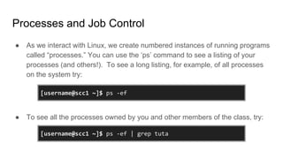 Processes and Job Control
● As we interact with Linux, we create numbered instances of running programs
called “processes.” You can use the ‘ps’ command to see a listing of your
processes (and others!). To see a long listing, for example, of all processes
on the system try:
● To see all the processes owned by you and other members of the class, try:
[username@scc1 ~]$ ps -ef
[username@scc1 ~]$ ps -ef | grep tuta
 