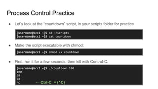 Process Control Practice
● Let’s look at the “countdown” script, in your scripts folder for practice
● Make the script executable with chmod:
● First, run it for a few seconds, then kill with Control-C.
[username@scc1 ~]$ cd ~/scripts
[username@scc1 ~]$ cat countdown
[username@scc1 ~]$ chmod +x countdown
[username@scc1 ~]$ ./countdown 100
100
99
98
^C ← Ctrl-C = (^C)
 