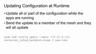 Updating Configuration at Runtime
• Update all or part of the configuration while the
apps are running
• Send the update to a member of the mesh and they
will all update
sudo hab config apply --peer 172.31.2.123
container_sched_backend.stage 2 new.toml
 