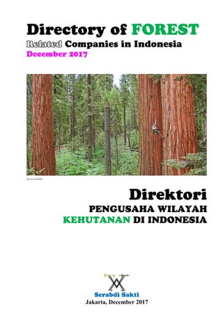 Serabdi Sakti
Jakarta, December 2017
Directory of FOREST
Related Companies in Indonesia
December 2017
http://www.takepart.com/sites/default/files/redwoods-MAIN1b.jpg
http://bit.ly/2k6zR6k
Direktori
PENGUSAHA WILAYAH
KEHUTANAN DI INDONESIA
 