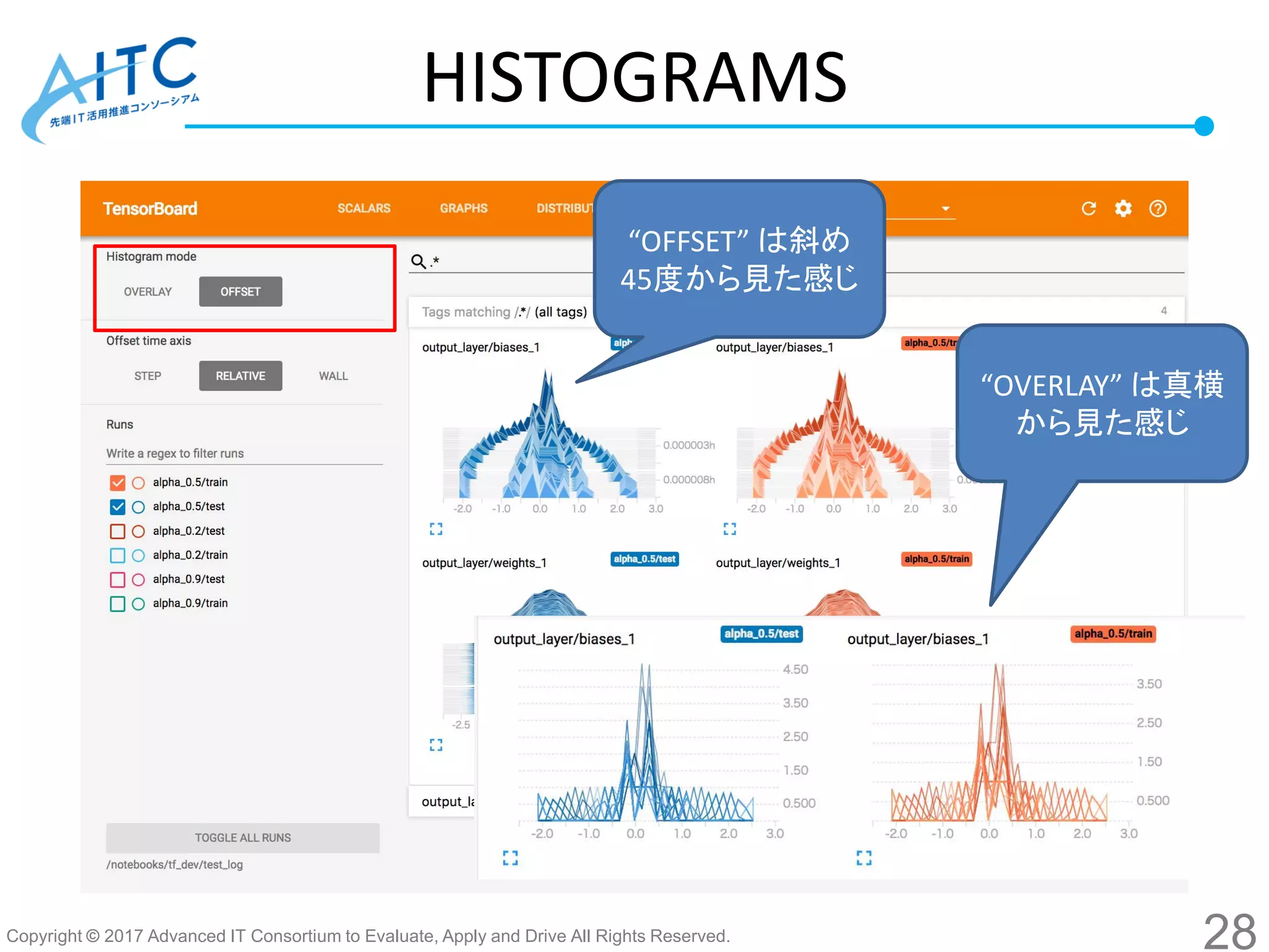 Copyright © 2017 Advanced IT Consortium to Evaluate, Apply and Drive All Rights Reserved.
HISTOGRAMS
“OFFSET” は斜め
45度から見た感じ
“OVERLAY” は真横
から見た感じ
28
 