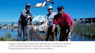 Kirgisian kalatalous romahti maan itsen?istytty? vuonna 1991. Suomen
ja YK:n maatalousj?rjest? FAOn tuella vuodesta 2009 tuotanto on
kymmenkertaistunut 2020 tonniin kalaa vuodessa.
 