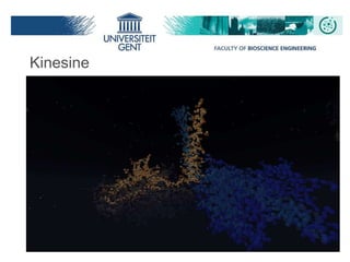 Kinesine
 