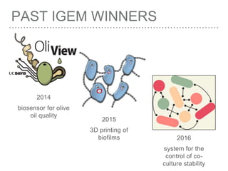 PAST IGEM WINNERS
2014
biosensor for olive
oil quality
2015
3D printing of
biofilms 2016
system for the
control of co-
culture stability
 