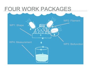 FOUR WORK PACKAGES
WP2: Filament
WP3: Biofunction
WP1: Shape
WP4: Measurement
 