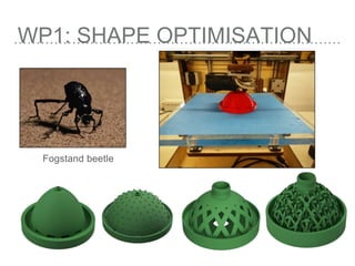 WP1: SHAPE OPTIMISATION
Fogstand beetle
 