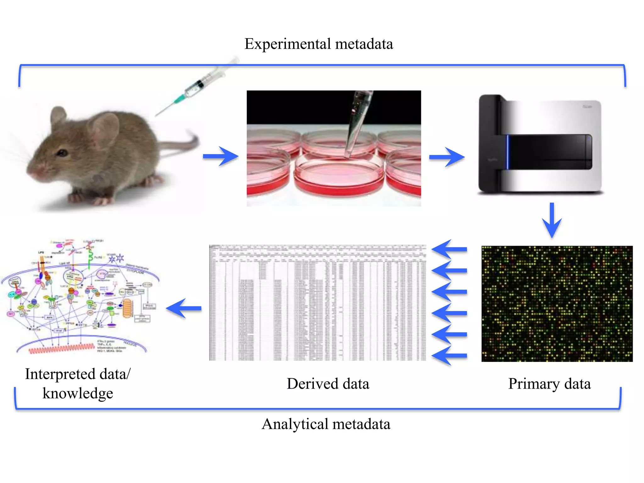Primary dataDerived data
Interpreted data/
knowledge
Experimental metadata
Analytical metadata
 