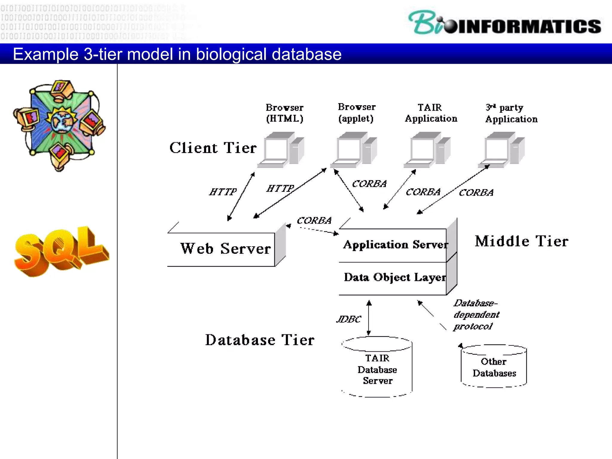 Example 3-tier model in biological database
 