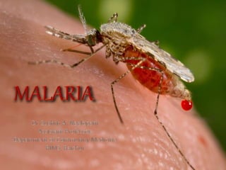 20180226 malaria