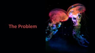 The Problem
 