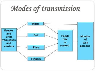 Modes of transmission
Faeces
and
urine
from cases
and
carriers
Water
Soil
Flies
Fingers
Foods
raw
or
cooked
Mouths
of
well
persons
 
