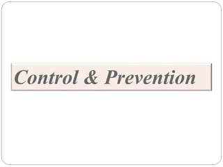 Control & Prevention
 
