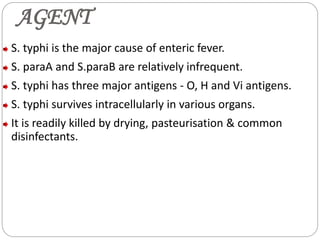 AGENT
S. typhi is the major cause of enteric fever.
S. paraA and S.paraB are relatively infrequent.
S. typhi has three major antigens - O, H and Vi antigens.
S. typhi survives intracellularly in various organs.
It is readily killed by drying, pasteurisation & common
disinfectants.
 