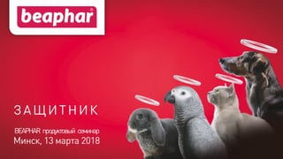 ЗАЩИТНИК
BEAPHAR продуктовый семинар
Минск, 13 марта 2018
 