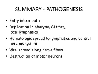 SUMMARY - PATHOGENESIS
• Entry into mouth
• Replication in pharynx, GI tract,
local lymphatics
• Hematologic spread to lymphatics and central
nervous system
• Viral spread along nerve fibers
• Destruction of motor neurons
 