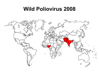 Wild Poliovirus 2008
 