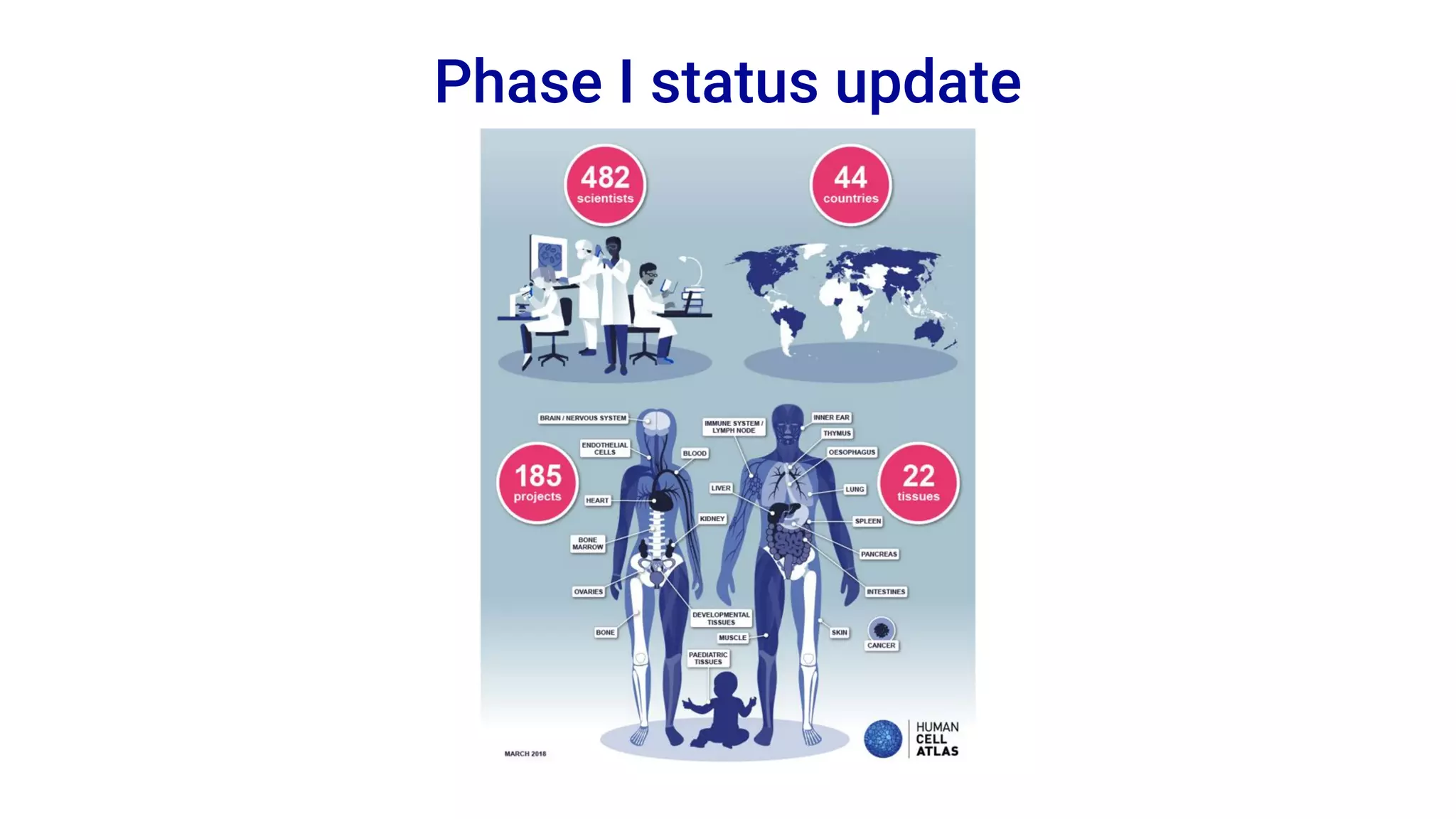 Phase I status update
 