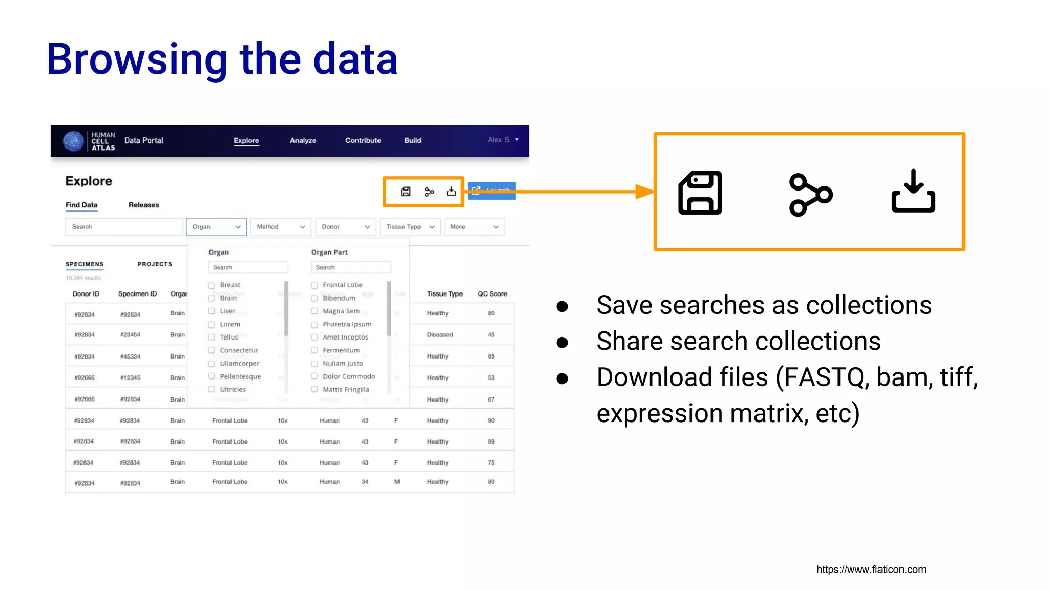 ● Save searches as collections
● Share search collections
● Download files (FASTQ, bam, tiff,
expression matrix, etc)
Browsing the data
https://www.flaticon.com
 