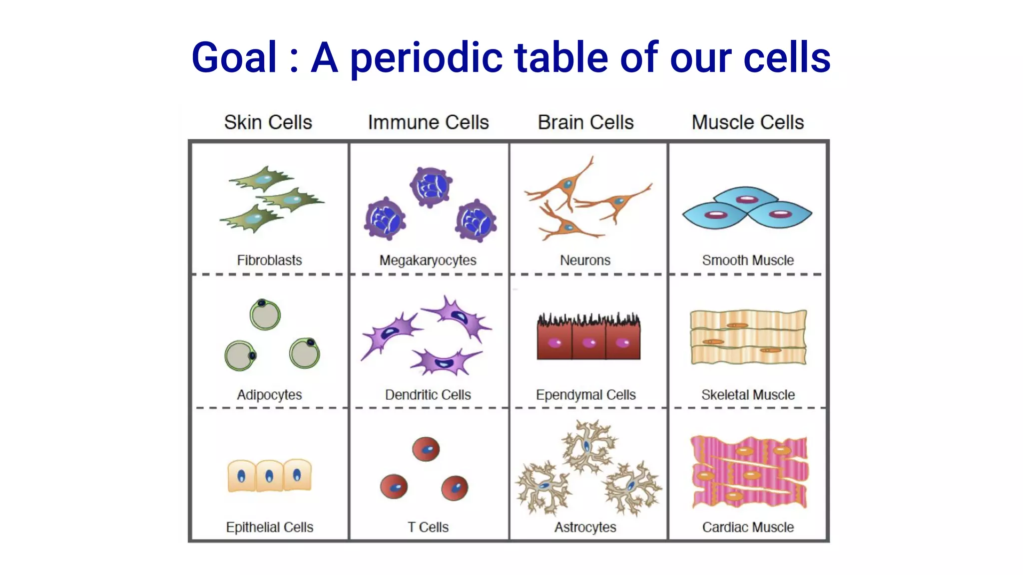 Goal : A periodic table of our cells
 