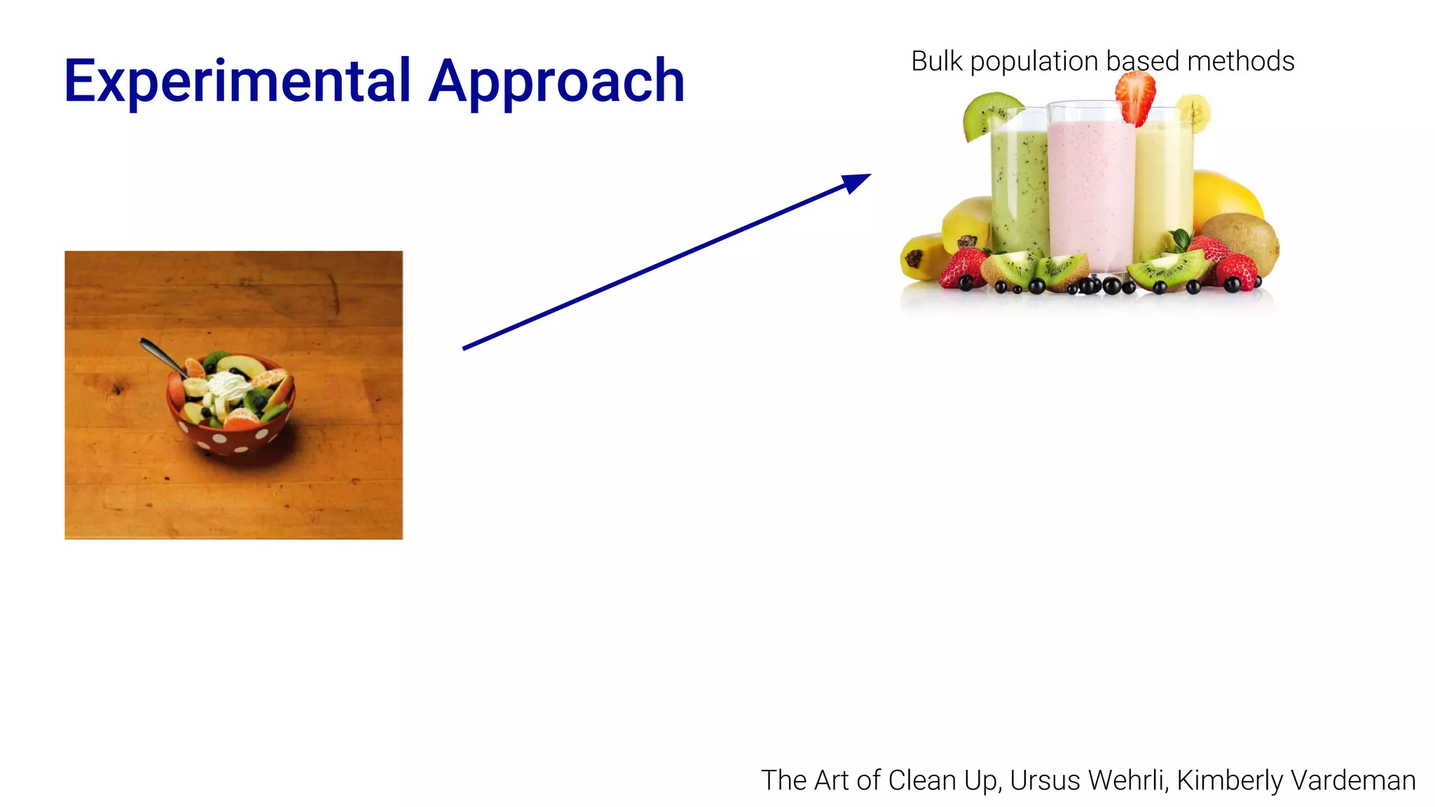 Experimental Approach
The Art of Clean Up, Ursus Wehrli, Kimberly Vardeman
Bulk population based methods
 