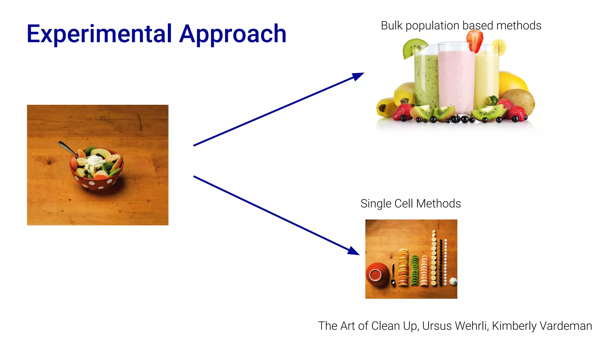 Experimental Approach
The Art of Clean Up, Ursus Wehrli, Kimberly Vardeman
Bulk population based methods
Single Cell Methods
 