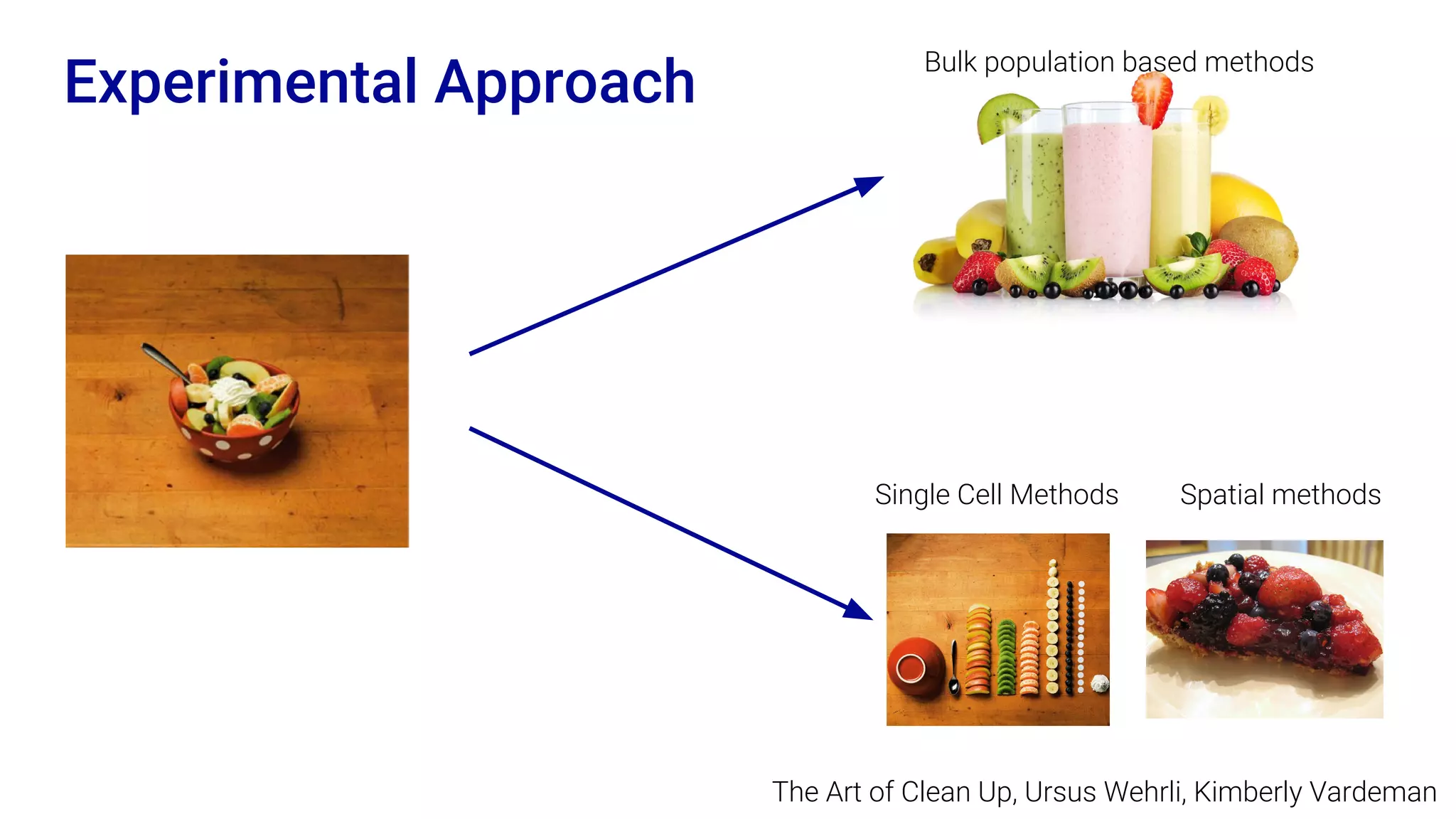 Experimental Approach
The Art of Clean Up, Ursus Wehrli, Kimberly Vardeman
Bulk population based methods
Single Cell Methods Spatial methods
 
