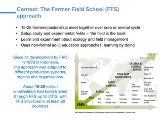 Context: The Farmer Field School (FFS)
approach
• 15-25 farmers/pastoralists meet together over crop or animal cycle
• Setup study and experimental fields – ‘the field is the book’
• Learn and experiment about ecology and field management
• Uses non-formal adult education approaches, learning by doing
Since its development by FAO
in 1989 in Indonesia,
the approach was adapted to
different production systems,
regions and organisations.
About 10-20 million
smallholders had been trained
through FFS up till 2012, with
FFS initiatives in at least 90
countries
 