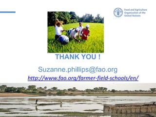 http://www.fao.org/farmer-field-schools/en/
THANK YOU !
Suzanne.phillips@fao.org
 