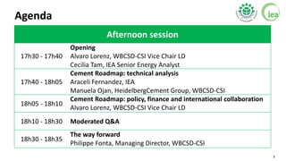 Low carbon Transition in the Cement Industry | PDF