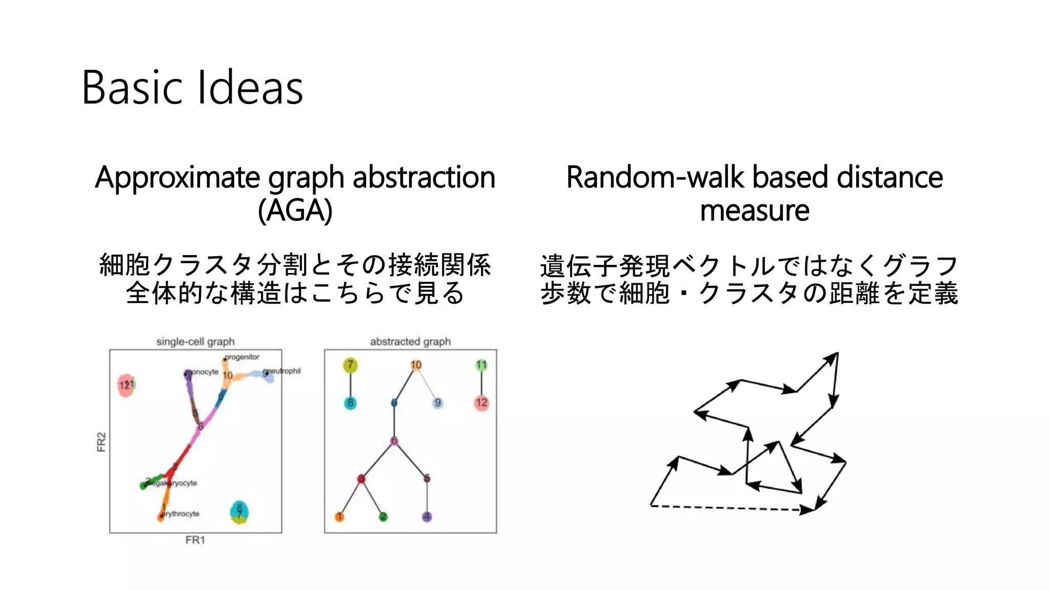 Basic Ideas
Approximate graph abstraction
(AGA)
細胞クラスタ分割とその接続関係
全体的な構造はこちらで見る
Random-walk based distance
measure
遺伝子発現ベクトルではなくグラフ
歩数で細胞・クラスタの距離を定義
 
