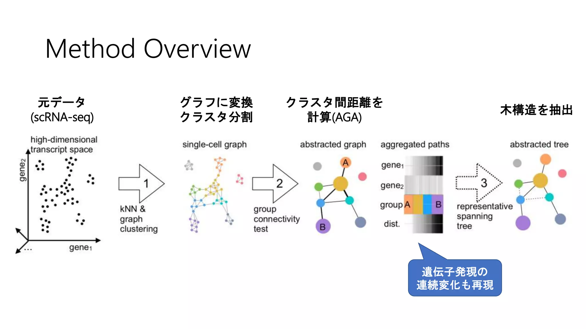 Method Overview
元データ
(scRNA-seq)
グラフに変換
クラスタ分割
クラスタ間距離を
計算(AGA)
木構造を抽出
遺伝子発現の
連続変化も再現
 