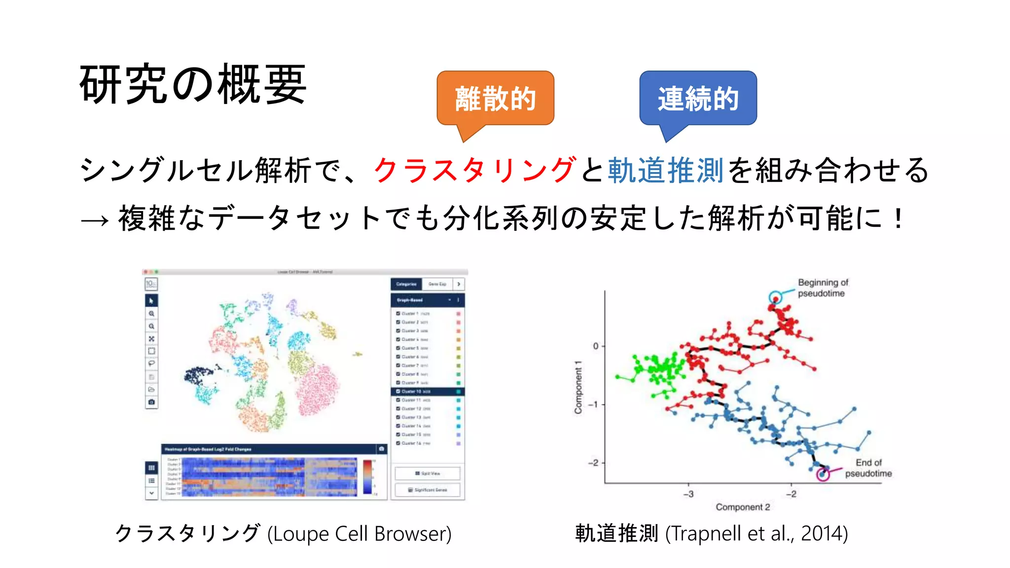 研究の概要
シングルセル解析で、クラスタリングと軌道推測を組み合わせる
離散的 連続的
クラスタリング (Loupe Cell Browser) 軌道推測 (Trapnell et al., 2014)
→ 複雑なデータセットでも分化系列の安定した解析が可能に！
 
