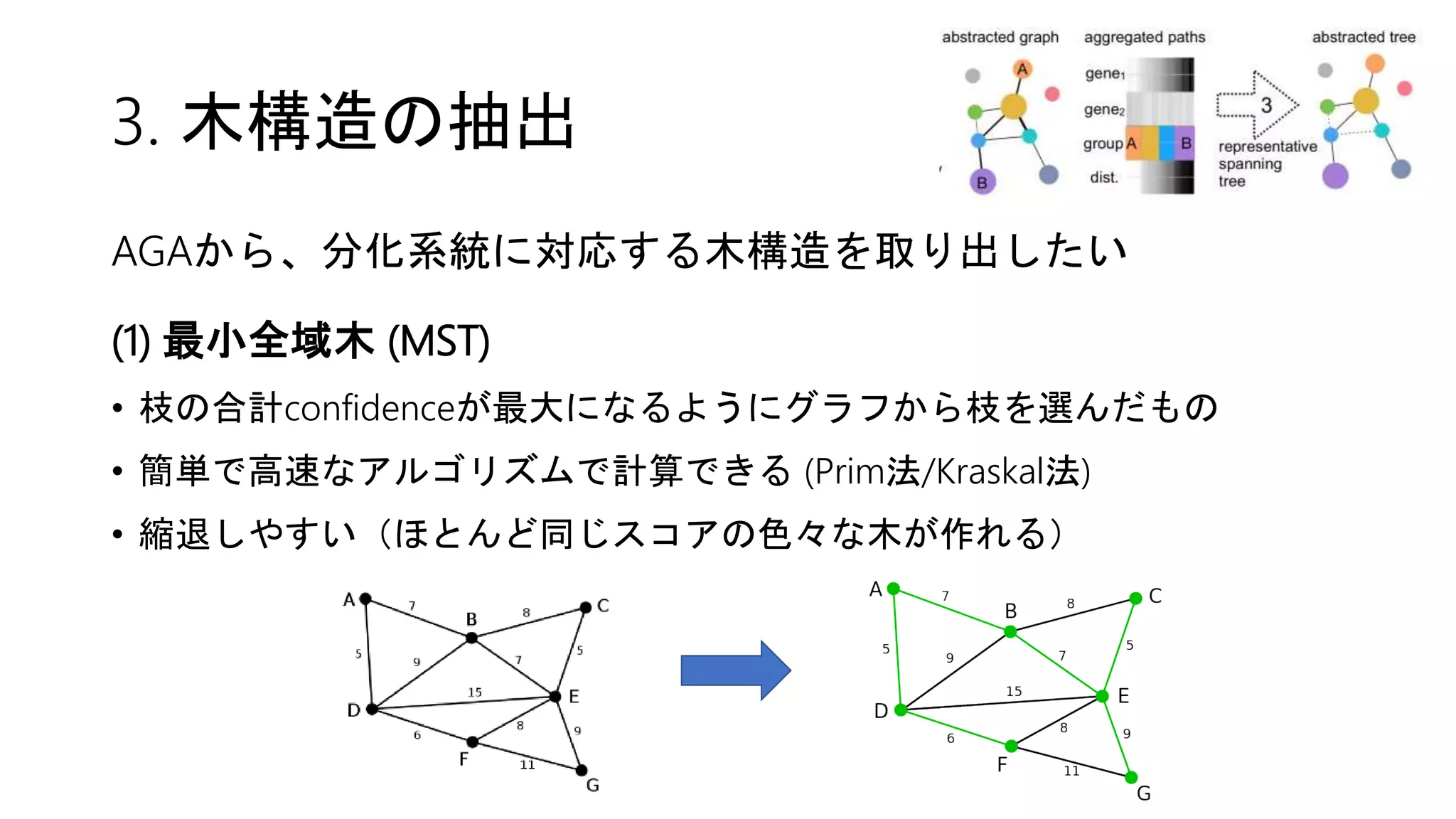 3. 木構造の抽出
AGAから、分化系統に対応する木構造を取り出したい
(1) 最小全域木 (MST)
• 枝の合計confidenceが最大になるようにグラフから枝を選んだもの
• 簡単で高速なアルゴリズムで計算できる (Prim法/Kraskal法)
• 縮退しやすい（ほとんど同じスコアの色々な木が作れる）
 