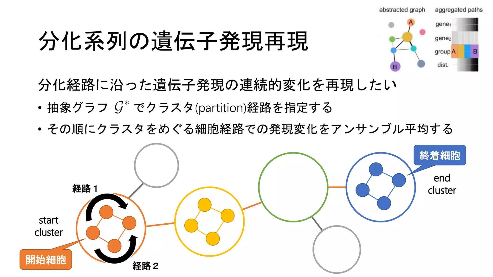 分化系列の遺伝子発現再現
分化経路に沿った遺伝子発現の連続的変化を再現したい
• 抽象グラフ でクラスタ(partition)経路を指定する
• その順にクラスタをめぐる細胞経路での発現変化をアンサンブル平均する
start
cluster
end
cluster
開始細胞
終着細胞
経路１
経路２
 