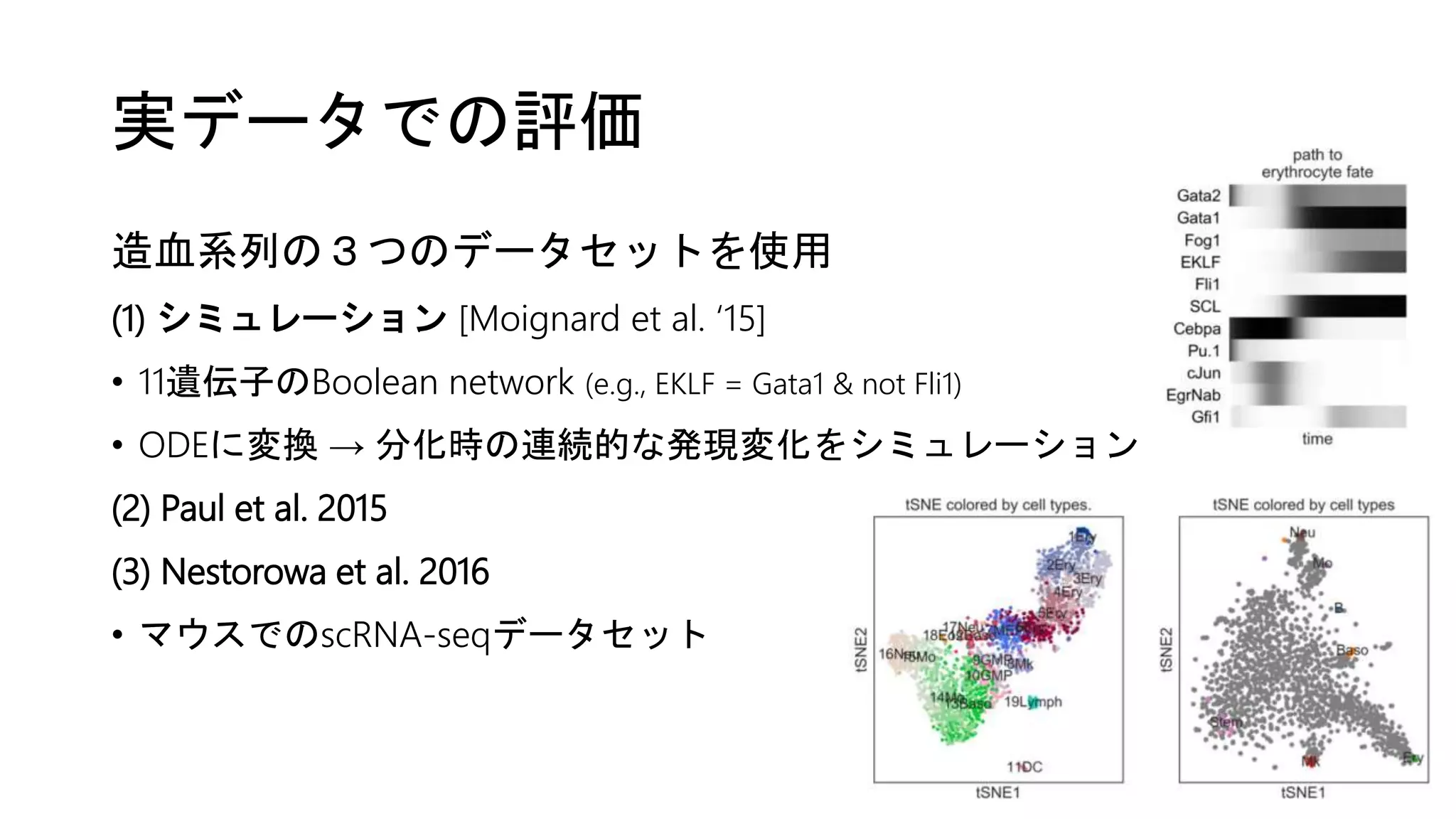 実データでの評価
造血系列の３つのデータセットを使用
(1) シミュレーション [Moignard et al. ‘15]
• 11遺伝子のBoolean network (e.g., EKLF = Gata1 & not Fli1)
• ODEに変換 → 分化時の連続的な発現変化をシミュレーション
(2) Paul et al. 2015
(3) Nestorowa et al. 2016
• マウスでのscRNA-seqデータセット
 