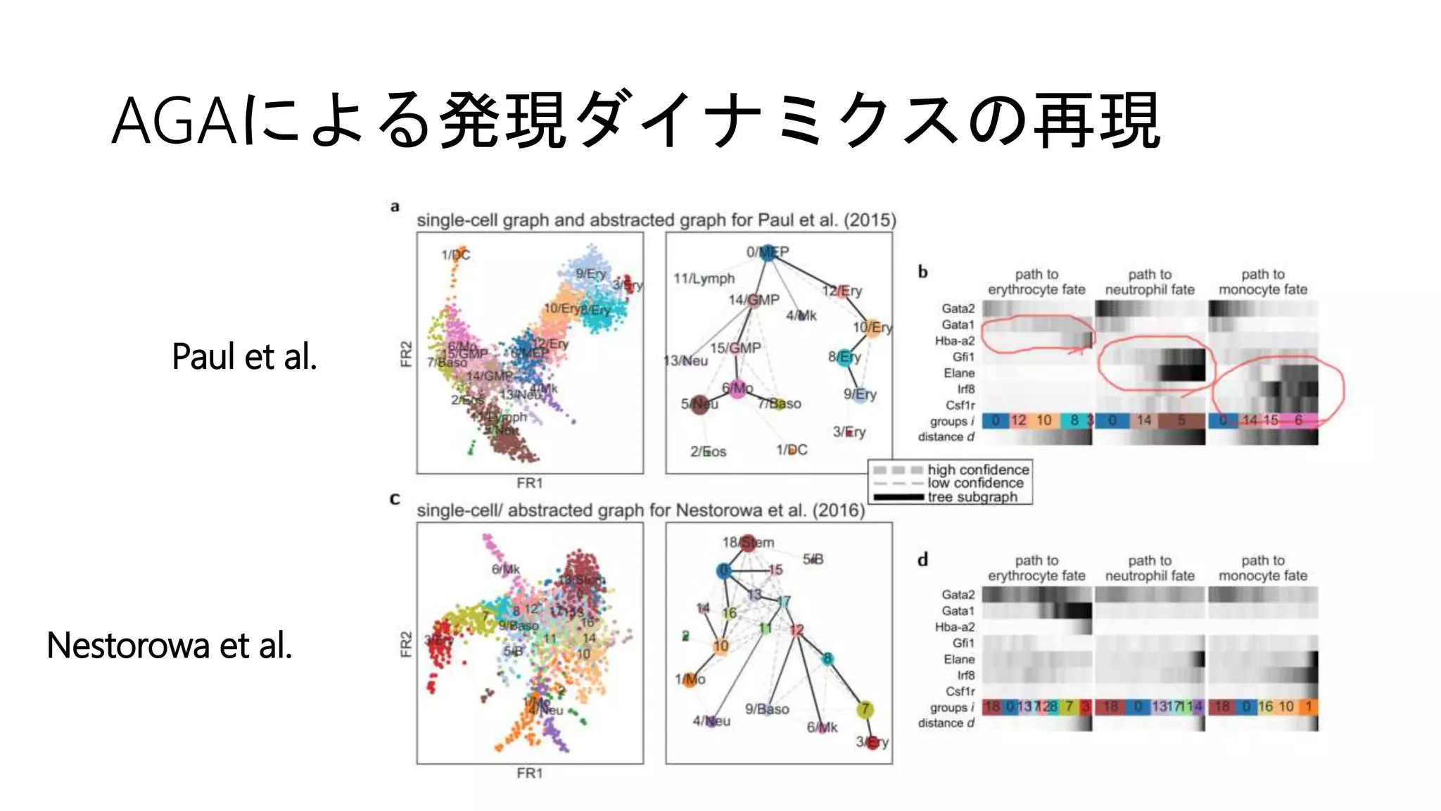 AGAによる発現ダイナミクスの再現
Paul et al.
Nestorowa et al.
 