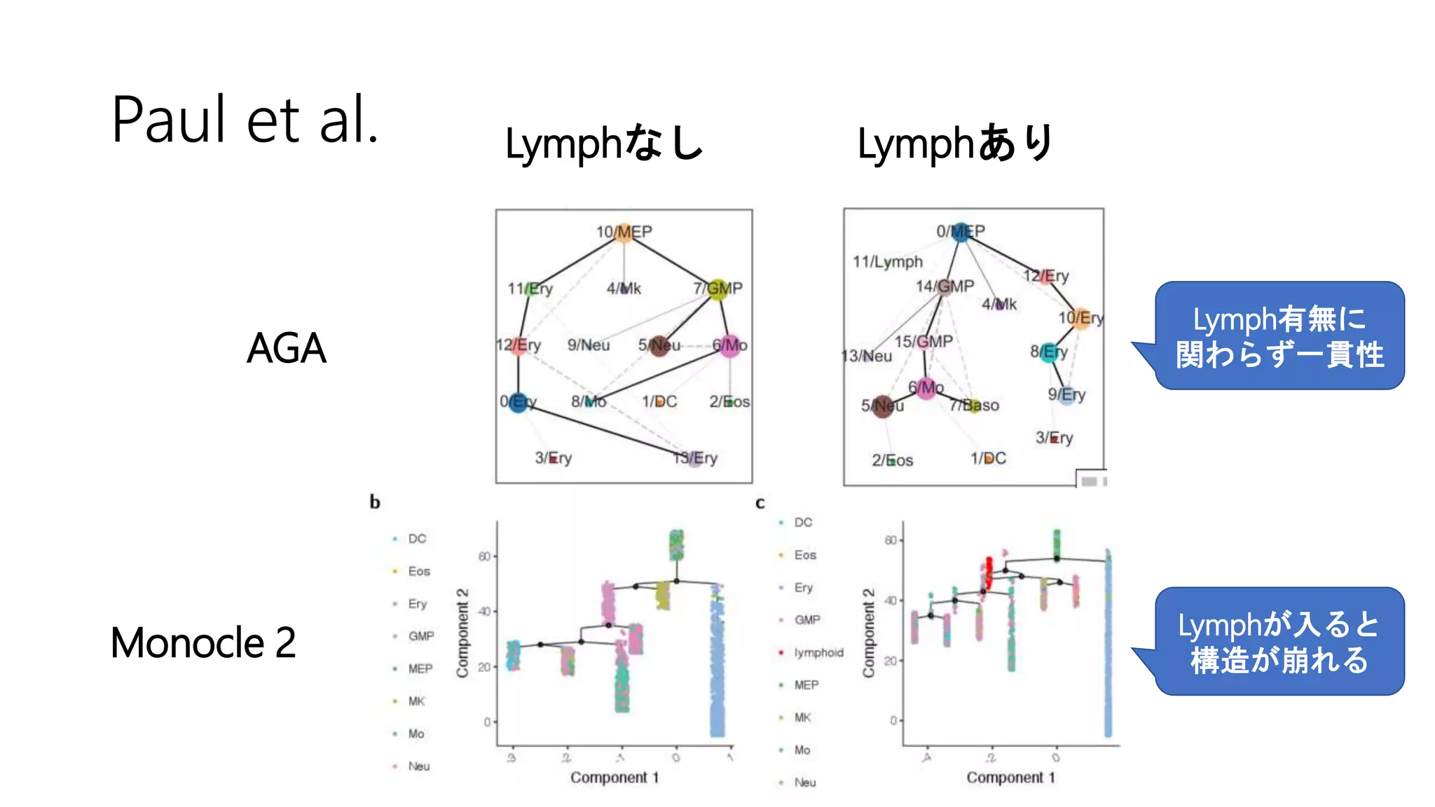 Paul et al.
AGA
Monocle 2
Lymphなし Lymphあり
Lymph有無に
関わらず一貫性
Lymphが入ると
構造が崩れる
 