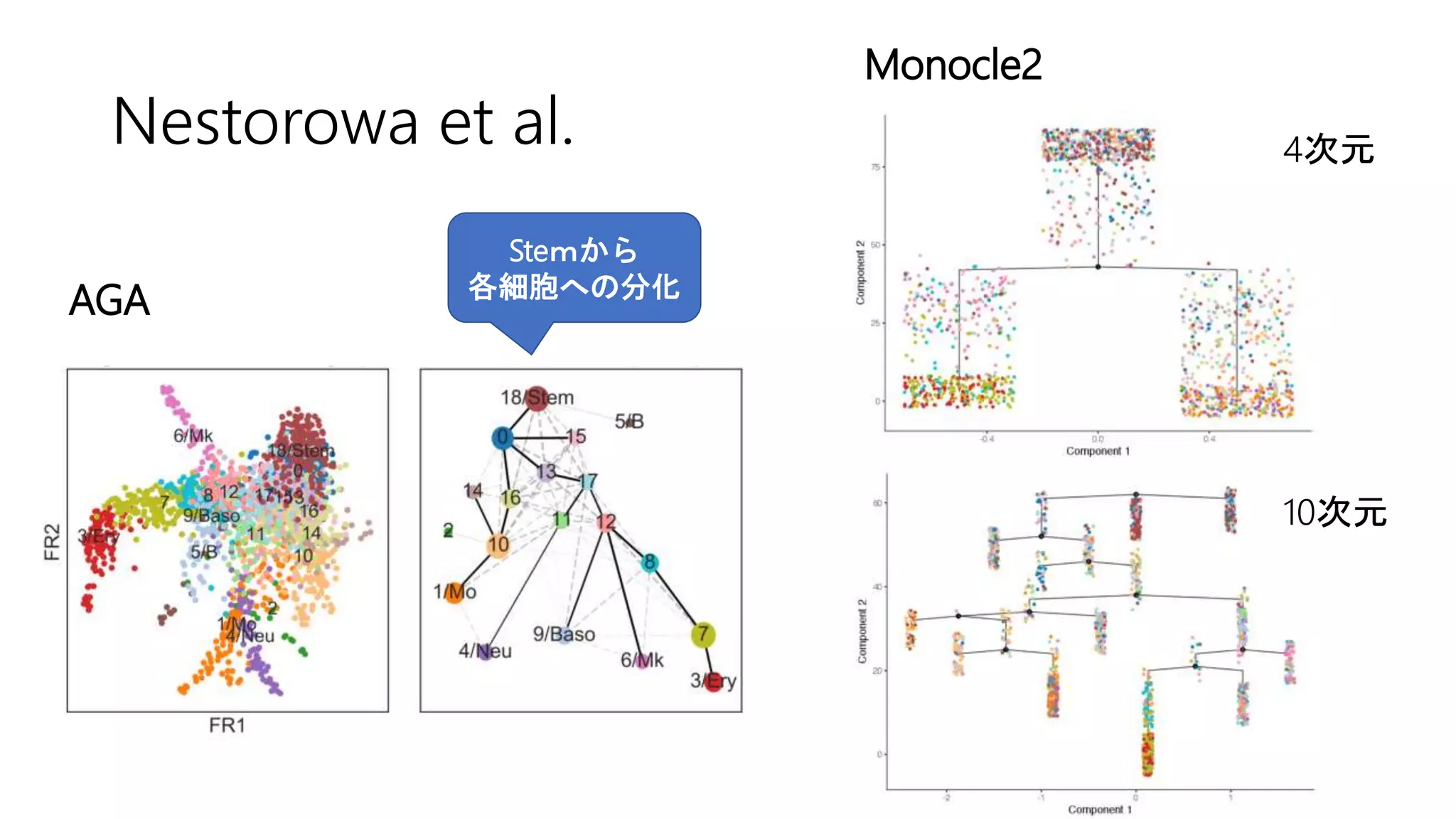 Nestorowa et al.
AGA
Monocle2
Steｍから
各細胞への分化
4次元
10次元
 